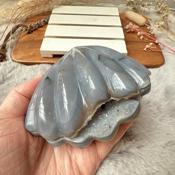 Agate Druzy Seashell Carving - Picture 4 of 7